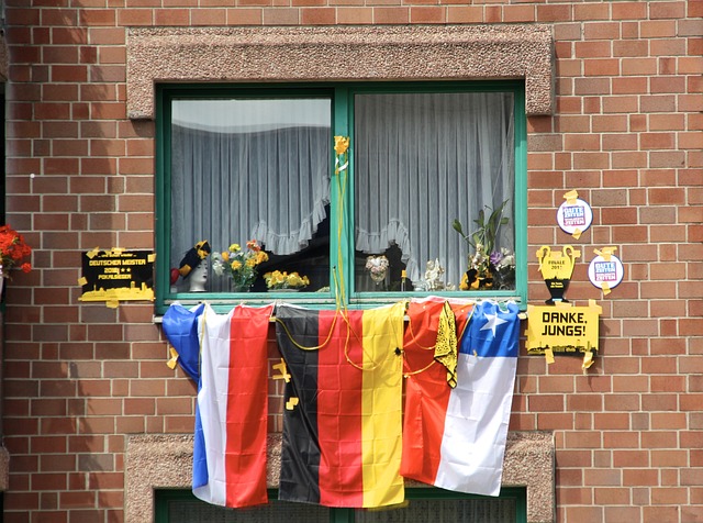 们提供了许 们提供了许