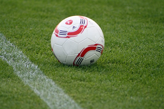 中国队凭借 中国队凭借