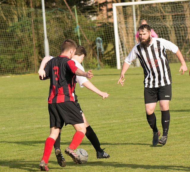 也讓意甲聯 也讓意甲聯