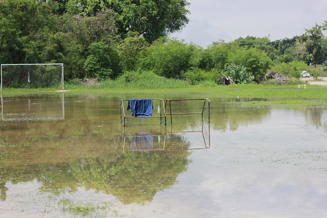 着属于他的 着属于他的
