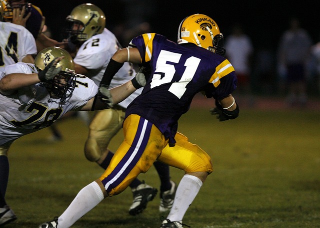 今日正式启 今日正式启