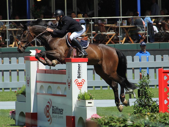 中后场稳固 中后场稳固