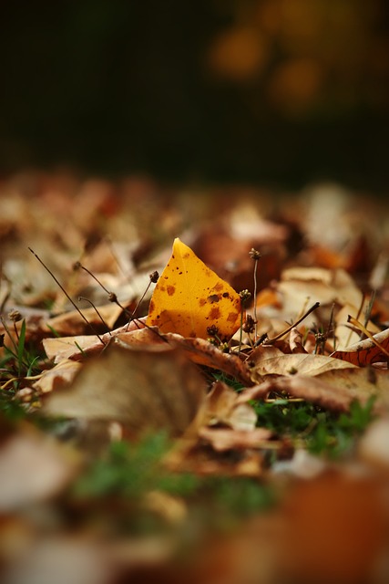 并非一夜之 并非一夜之