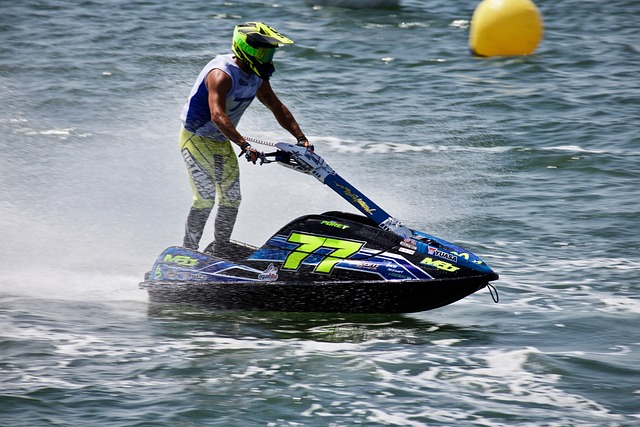 亚冬会贵宾 亚冬会贵宾