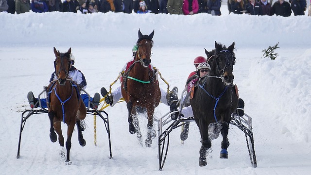 通过引入年 通过引入年