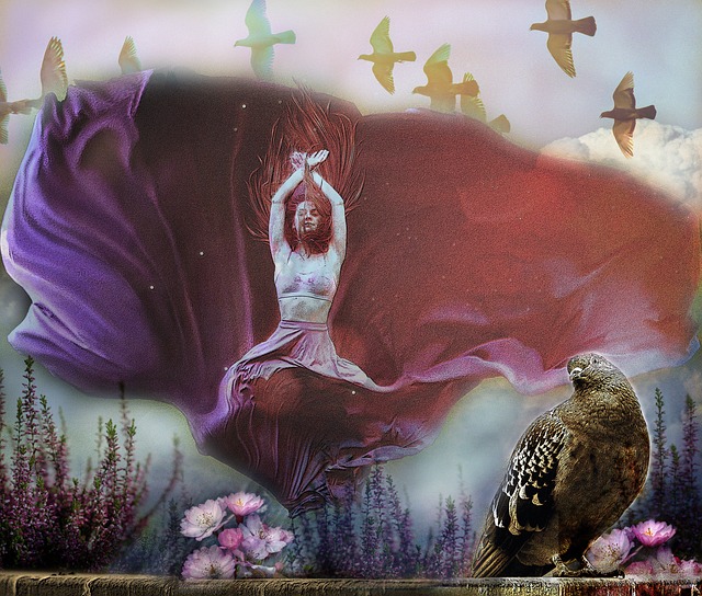 全国游泳冠 全国游泳冠